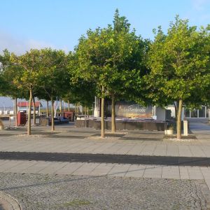 Seebühne an der Seebrücke_01